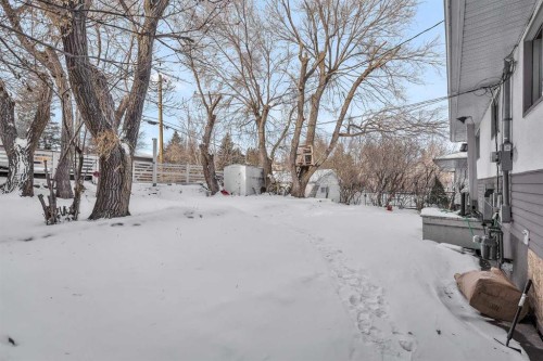 4617 Stanley Road Sw, Calgary, AB - Outdoor