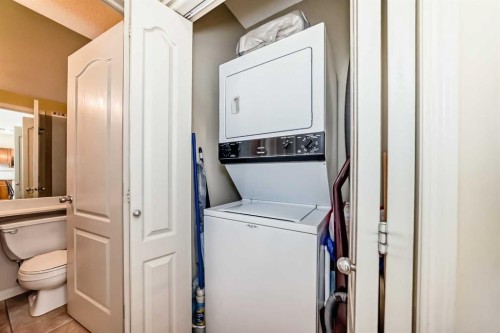209-333 Riverfront Avenue Se, Calgary, AB - Indoor Photo Showing Laundry Room