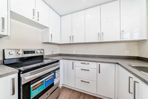 2007 Cottonwood Crescent Se, Calgary, AB - Indoor Photo Showing Kitchen