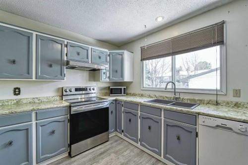 3523 48 Street Ne, Calgary, AB - Indoor Photo Showing Kitchen With Double Sink