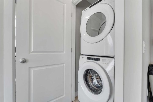 390 South Shore Drive, Chestermere, AB - Indoor Photo Showing Laundry Room