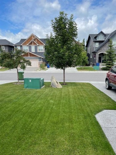 7 Cooperstown Place Sw, Airdrie, AB - Outdoor