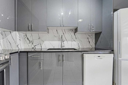 78 Martinview Crescent Ne, Calgary, AB - Indoor Photo Showing Kitchen With Upgraded Kitchen