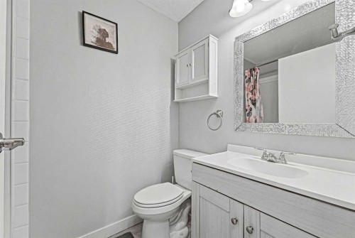 78 Martinview Crescent Ne, Calgary, AB - Indoor Photo Showing Bathroom