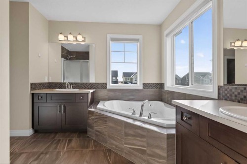 673 Marina Drive, Chestermere, AB - Indoor Photo Showing Bathroom