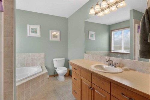 38 Tanner Close Se, Airdrie, AB - Indoor Photo Showing Bathroom