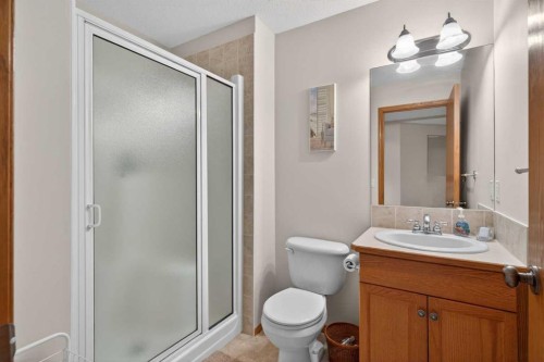 38 Tanner Close Se, Airdrie, AB - Indoor Photo Showing Bathroom