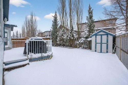38 Tanner Close Se, Airdrie, AB - Outdoor