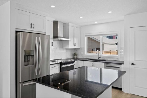 12 Heirloom Crescent Se, Calgary, AB - Indoor Photo Showing Kitchen With Upgraded Kitchen