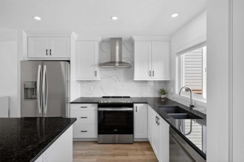 12 Heirloom Crescent Se, Calgary, AB - Indoor Photo Showing Kitchen With Double Sink With Upgraded Kitchen