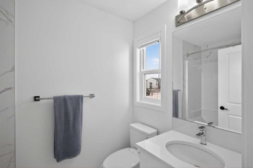 12 Heirloom Crescent Se, Calgary, AB - Indoor Photo Showing Bathroom