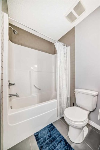 267 Auburn Meadows Place Se, Calgary, AB - Indoor Photo Showing Bathroom