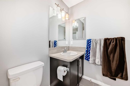 267 Auburn Meadows Place Se, Calgary, AB - Indoor Photo Showing Bathroom