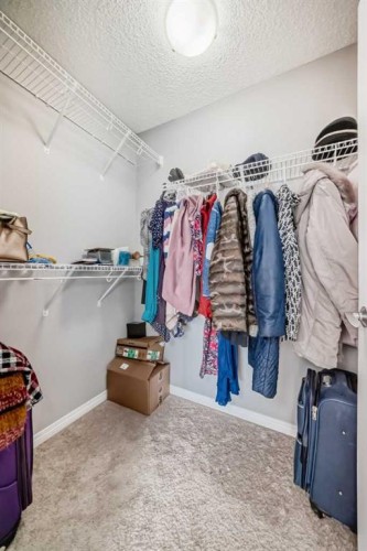 267 Auburn Meadows Place Se, Calgary, AB - Indoor With Storage