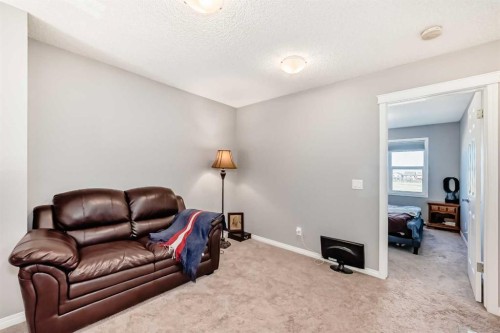 267 Auburn Meadows Place Se, Calgary, AB - Indoor