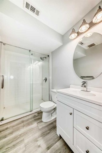 267 Auburn Meadows Place Se, Calgary, AB - Indoor Photo Showing Bathroom