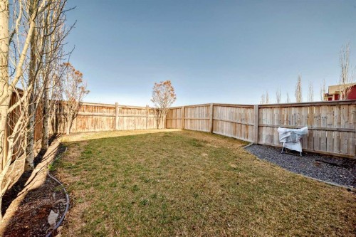 267 Auburn Meadows Place Se, Calgary, AB - Outdoor