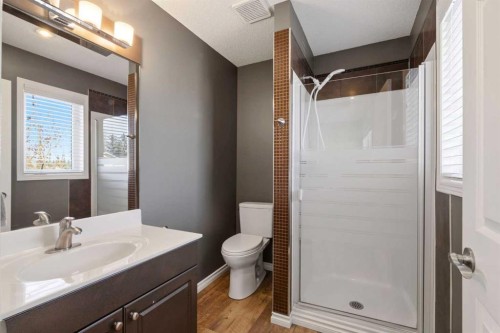 85 Cedarview Mews Sw, Calgary, AB - Indoor Photo Showing Bathroom