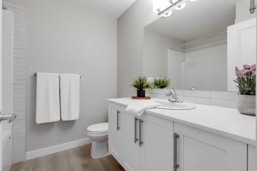 118 Legacy Path Se, Calgary, AB - Indoor Photo Showing Bathroom
