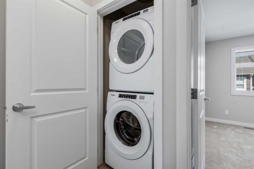 118 Legacy Path Se, Calgary, AB - Indoor Photo Showing Laundry Room