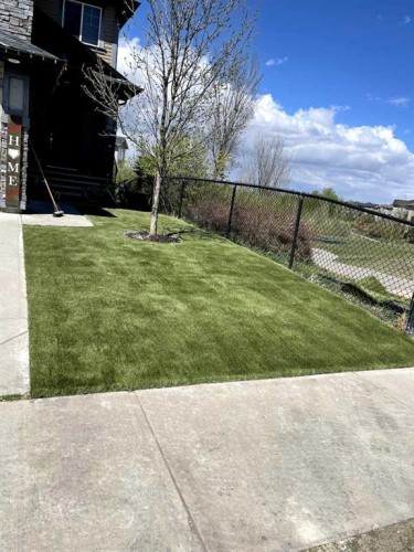 983 Auburn Bay Boulevard Se, Calgary, AB - Outdoor