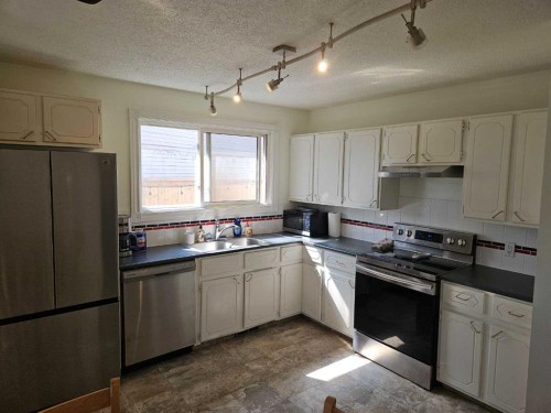60 Erin Croft Place Se, Calgary, AB - Indoor Photo Showing Kitchen With Double Sink