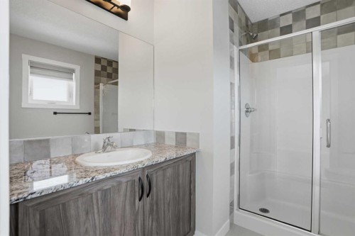 747 Creekside Boulevard Sw, Calgary, AB - Indoor Photo Showing Bathroom