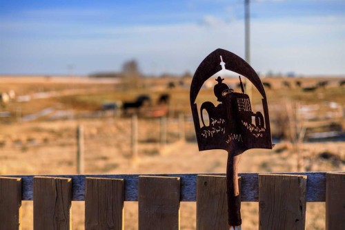 Rural, Rural Kneehill County, AB - Outdoor With View