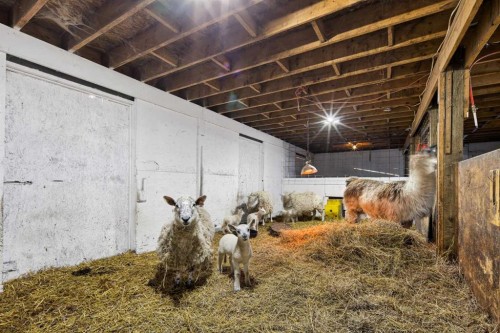 Rural, Rural Kneehill County, AB - Indoor Photo Showing Other Room