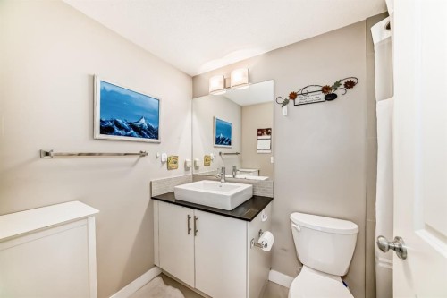 2312-240 Skyview Ranch Road Ne, Calgary, AB - Indoor Photo Showing Bathroom