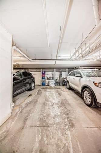 2312-240 Skyview Ranch Road Ne, Calgary, AB - Indoor Photo Showing Garage