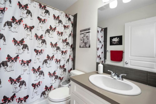 507 Cranford Walk Se, Calgary, AB - Indoor Photo Showing Bathroom