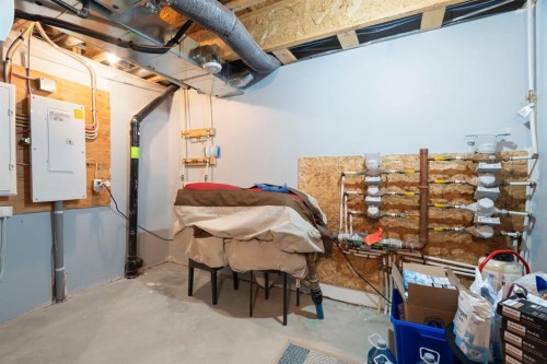 507 Cranford Walk Se, Calgary, AB - Indoor Photo Showing Basement