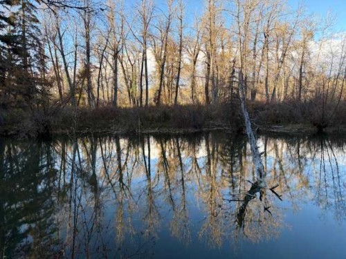 8520 48 Avenue Nw, Calgary, AB 