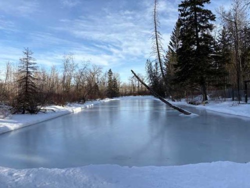 8520 48 Avenue Nw, Calgary, AB 