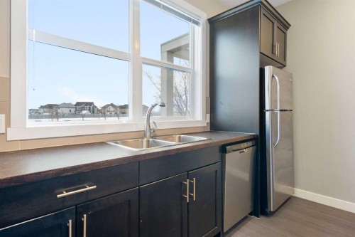 428 Redstone View, Calgary, AB - Indoor Photo Showing Kitchen With Double Sink
