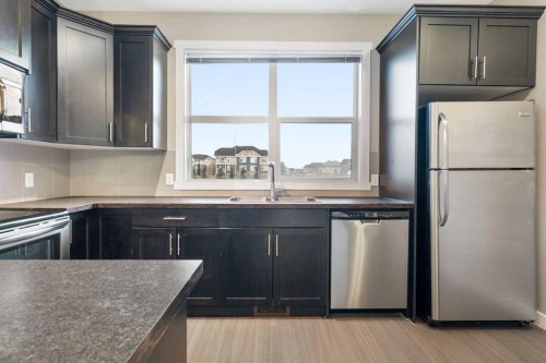 428 Redstone View, Calgary, AB - Indoor Photo Showing Kitchen With Double Sink