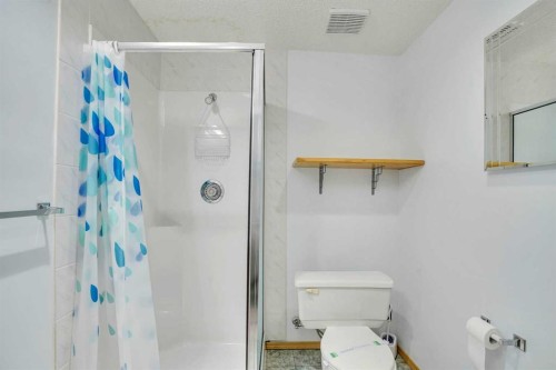 463 23 Avenue Nw, Calgary, AB - Indoor Photo Showing Bathroom