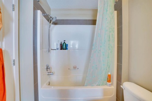 39 Panatella Road Nw, Calgary, AB - Indoor Photo Showing Bathroom