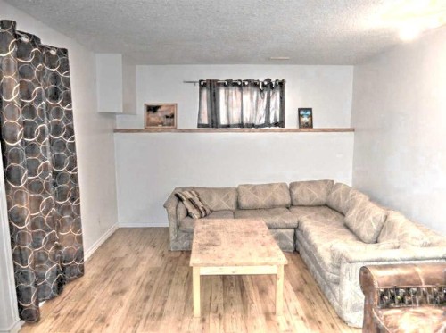 73 Martindale Boulevard Ne, Calgary, AB - Indoor Photo Showing Living Room