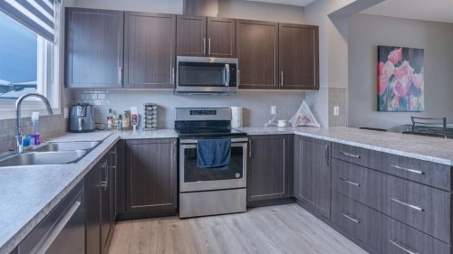62 Corner Meadows Common Ne, Calgary, AB - Indoor Photo Showing Kitchen With Double Sink