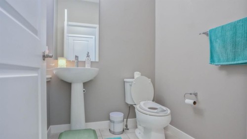 62 Corner Meadows Common Ne, Calgary, AB - Indoor Photo Showing Bathroom