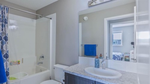 62 Corner Meadows Common Ne, Calgary, AB - Indoor Photo Showing Bathroom