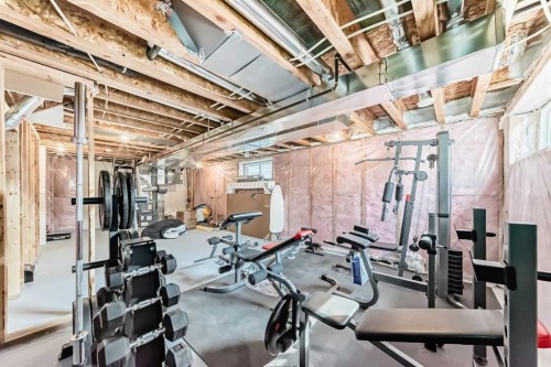 948 West Lakeview Drive, Chestermere, AB - Indoor Photo Showing Basement
