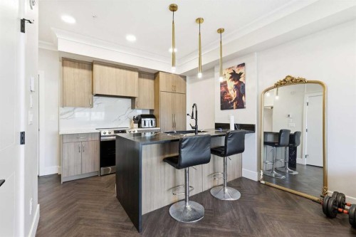 305-370 Dieppe Drive Sw, Calgary, AB - Indoor Photo Showing Kitchen With Upgraded Kitchen