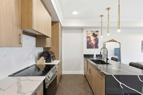 305-370 Dieppe Drive Sw, Calgary, AB - Indoor Photo Showing Kitchen