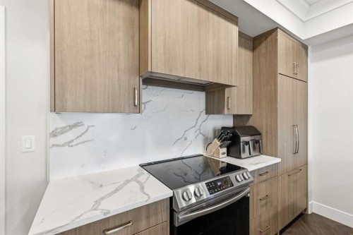 305-370 Dieppe Drive Sw, Calgary, AB - Indoor Photo Showing Kitchen