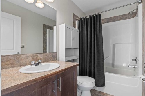 420 Ranch Ridge Meadow, Strathmore, AB - Indoor Photo Showing Bathroom