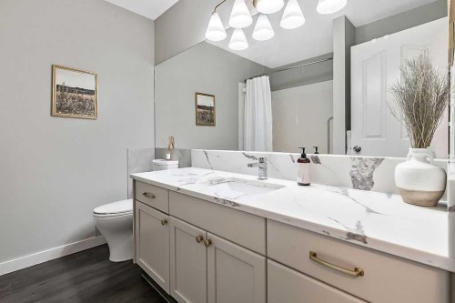 1724 4 Avenue Se, High River, AB - Indoor Photo Showing Bathroom