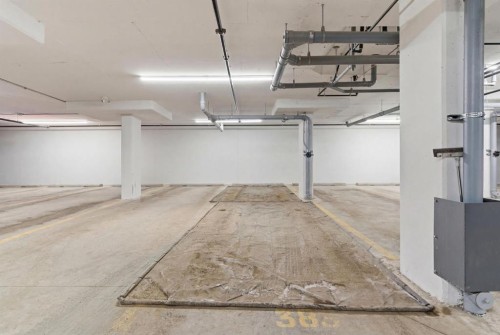 7306-1802 Mahogany Boulevard Se, Calgary, AB - Indoor Photo Showing Garage